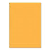ENVELOPE FN S OURO 229X324 C/100 9854